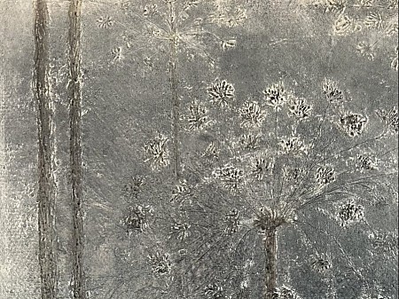 Berenklauw geschilderd door Hannie Hopster